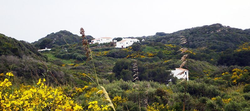 Orte auf Menorca, die Lust auf Reisen machen